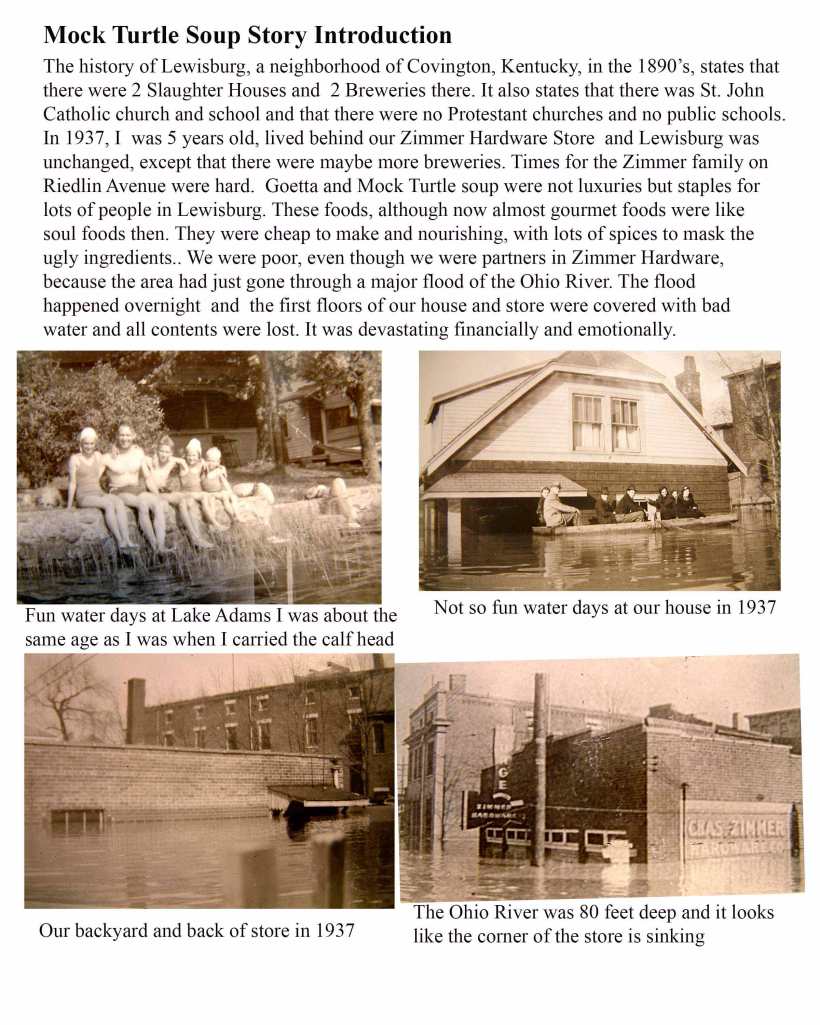 Mock-Turtle-Intro-for-web1