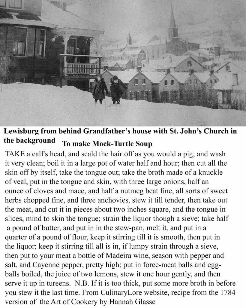 page-2mock-turtle-for-web1